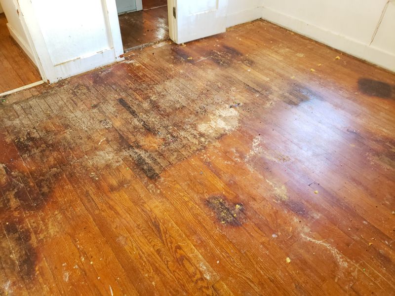 Hardwood Floor Repair Costs — Cost of Hardwood Floor Repair